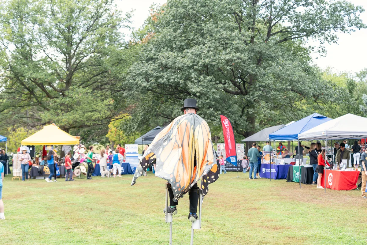 Latino Festival 2026 image 9