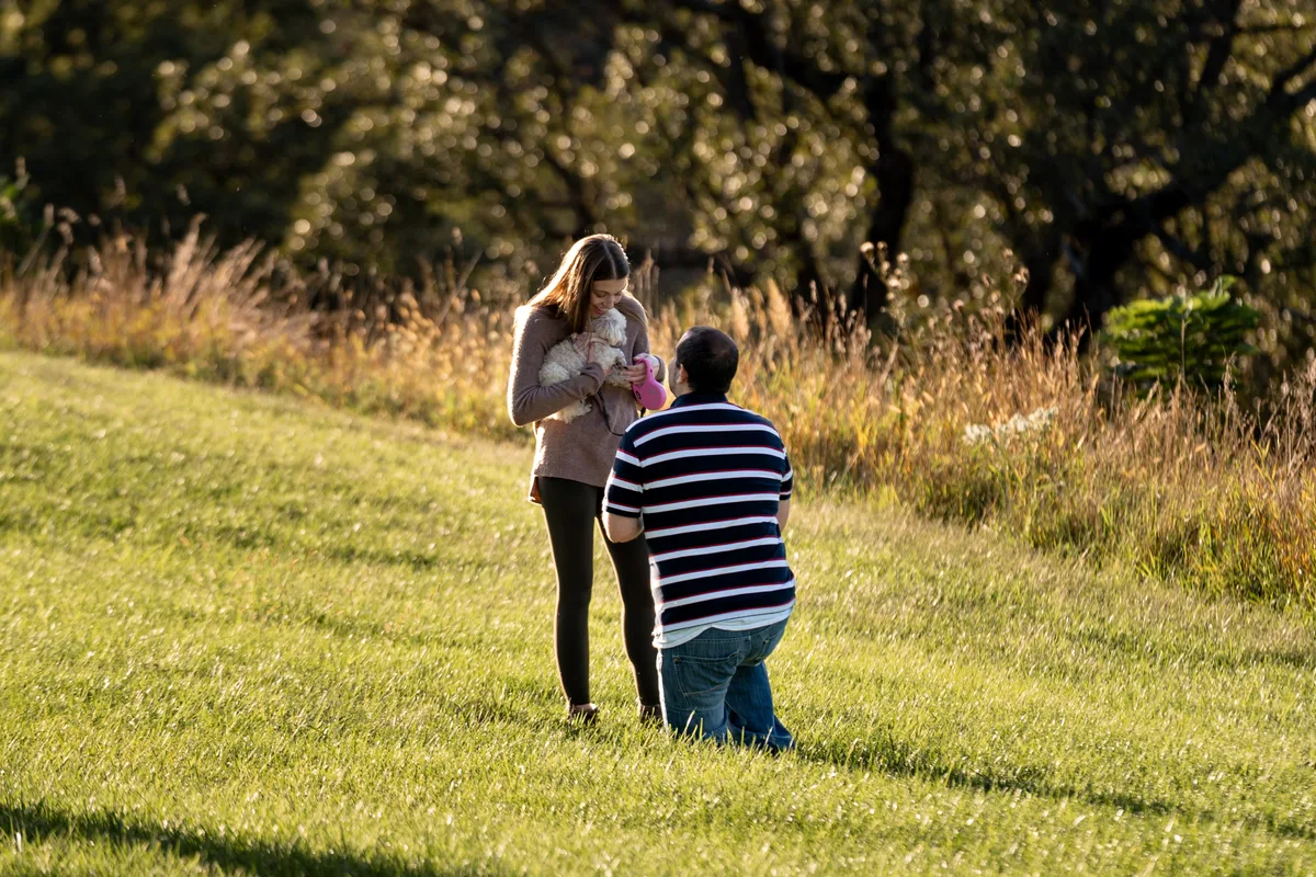 A surprise marriage proposal on one knee in an open field at Mahoney State Park, Nebraska, photographed from a distance at golden hour